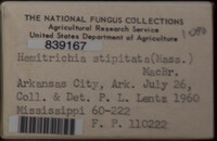 Image Associated With the Occurence